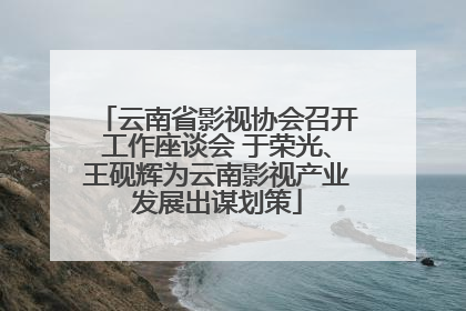 云南省影视协会召开工作座谈会 于荣光、王砚辉为云南影视产业发展出谋划策