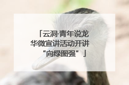 云洞·青年说龙华微宣讲活动开讲“向绿图强”