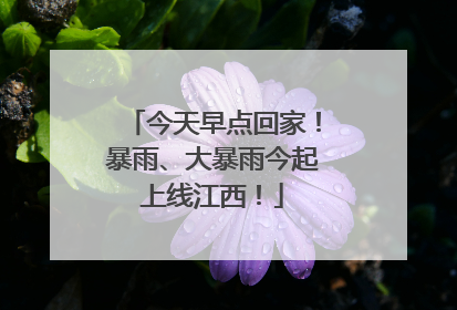 今天早点回家！暴雨、大暴雨今起上线江西！