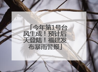 今年第1号台风生成！预计后天登陆！福建发布暴雨警报
