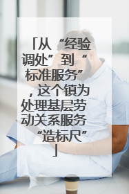 从“经验调处”到“标准服务”，这个镇为处理基层劳动关系服务“造标尺”
