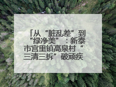 从“脏乱差”到“绿净美”：新泰市宫里镇高泉村“三清三拆”破顽疾，无人机“天眼”护新颜