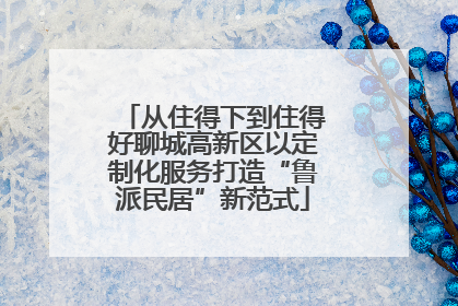从住得下到住得好聊城高新区以定制化服务打造“鲁派民居”新范式