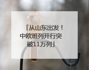 从山东出发！中欧班列开行突破11万列