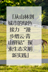 从山林到城市的绿色接力 “漫步缙云·青山驿站”探索生态文明新实践