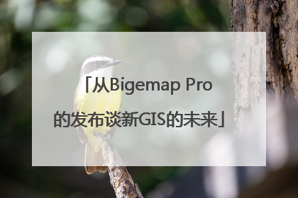 从Bigemap Pro的发布谈新GIS的未来