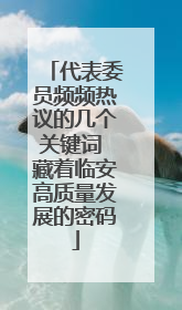 代表委员频频热议的几个关键词 藏着临安高质量发展的密码