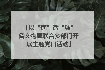 以“莲”话“廉” 省文物局联合多部门开展主题党日活动