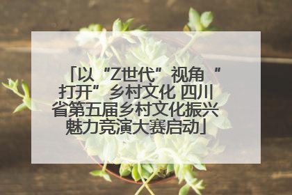 以“Z世代”视角“打开”乡村文化 四川省第五届乡村文化振兴魅力竞演大赛启动