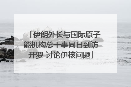 伊朗外长与国际原子能机构总干事同日到访开罗 讨论伊核问题