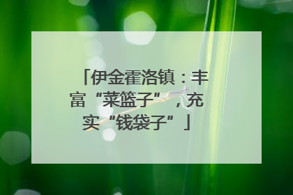 伊金霍洛镇：丰富“菜篮子”，充实“钱袋子”