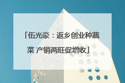 伍光豪：返乡创业种蔬菜 产销两旺促增收