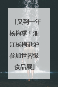 又到一年杨梅季！浙江杨梅赴沪参加世界级食品展