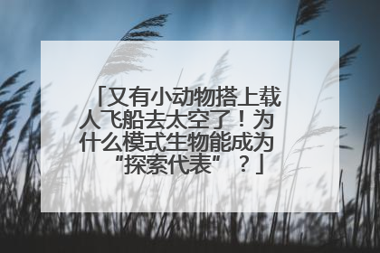 又有小动物搭上载人飞船去太空了！为什么模式生物能成为“探索代表”？