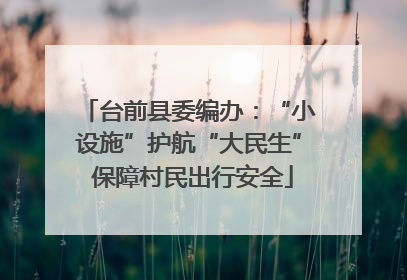 台前县委编办：“小设施”护航“大民生” 保障村民出行安全
