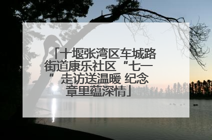 十堰张湾区车城路街道康乐社区“七一”走访送温暖 纪念章里蕴深情