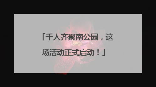 千人齐聚南公园，这场活动正式启动！