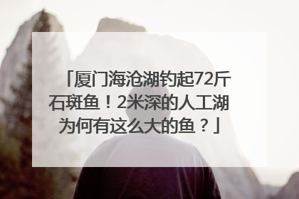 厦门海沧湖钓起72斤石斑鱼！2米深的人工湖为何有这么大的鱼？