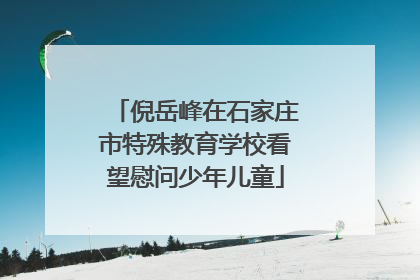 倪岳峰在石家庄市特殊教育学校看望慰问少年儿童