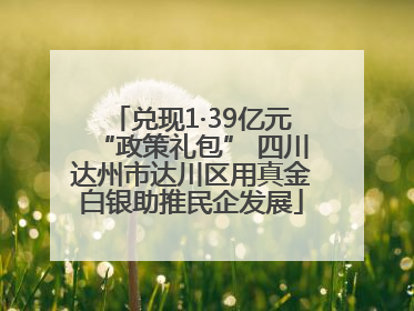 兑现1·39亿元“政策礼包” 四川达州市达川区用真金白银助推民企发展