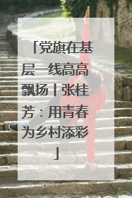 党旗在基层一线高高飘扬丨张桂芳：用青春为乡村添彩