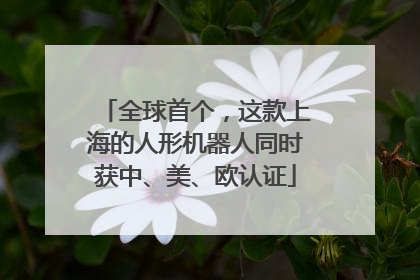 全球首个，这款上海的人形机器人同时获中、美、欧认证