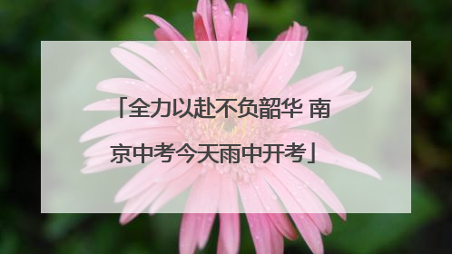 全力以赴不负韶华 南京中考今天雨中开考