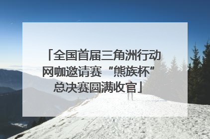 全国首届三角洲行动网咖邀请赛“熊族杯”总决赛圆满收官