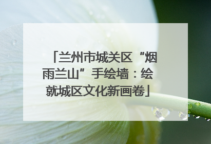 兰州市城关区“烟雨兰山”手绘墙：绘就城区文化新画卷