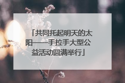 共同托起明天的太阳——手拉手大型公益活动圆满举行