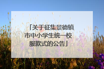 关于征集景德镇市中小学生统一校服款式的公告