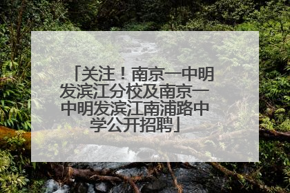 关注！南京一中明发滨江分校及南京一中明发滨江南浦路中学公开招聘