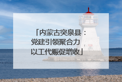 内蒙古突泉县：党建引领聚合力 以工代赈促增收