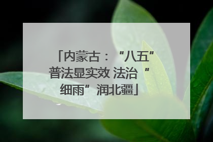 内蒙古：“八五”普法显实效 法治“细雨”润北疆
