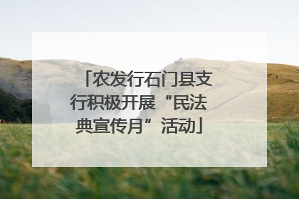 农发行石门县支行积极开展“民法典宣传月”活动
