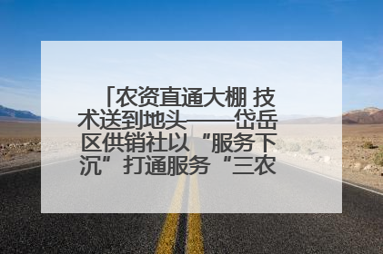 农资直通大棚 技术送到地头——岱岳区供销社以“服务下沉”打通服务“三农”最后一公里