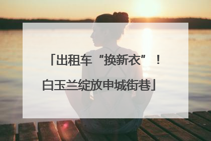 出租车“换新衣”！白玉兰绽放申城街巷