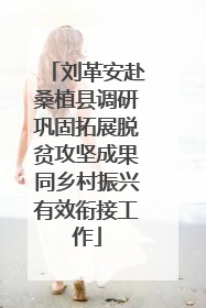 刘革安赴桑植县调研巩固拓展脱贫攻坚成果同乡村振兴有效衔接工作