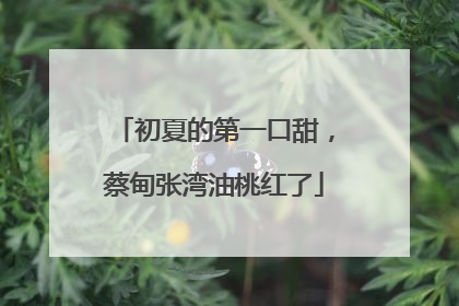 初夏的第一口甜，蔡甸张湾油桃红了