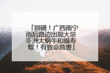 别碰！广西南宁雨后路边出现大量非洲大蜗牛和福寿螺！有致命危害