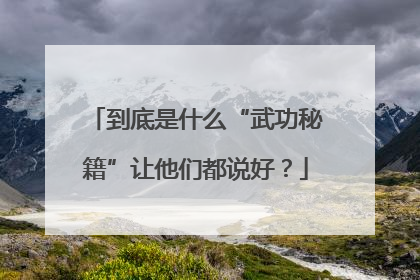 到底是什么“武功秘籍”让他们都说好？