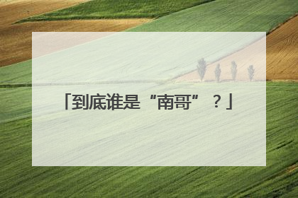 到底谁是“南哥”？