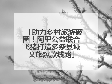 助力乡村旅游破圈！阿里公益联合飞猪打造多条县域文旅爆款线路