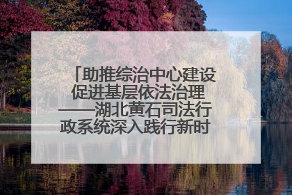 助推综治中心建设 促进基层依法治理——湖北黄石司法行政系统深入践行新时代枫桥经验