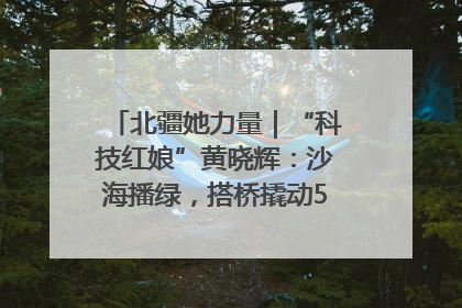 北疆她力量｜“科技红娘”黄晓辉：沙海播绿，搭桥撬动5.3亿研发