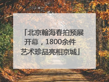 北京翰海春拍预展开幕，1800余件艺术珍品亮相京城