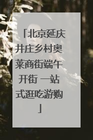 北京延庆井庄乡村奥莱商街端午开街 一站式逛吃游购