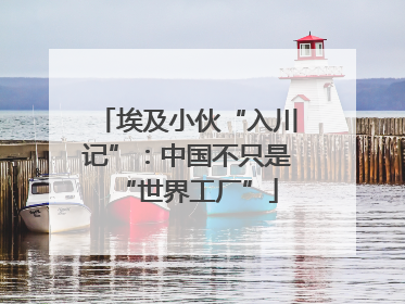 埃及小伙“入川记”：中国不只是“世界工厂”