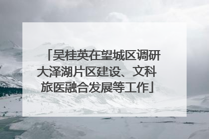 吴桂英在望城区调研大泽湖片区建设、文科旅医融合发展等工作