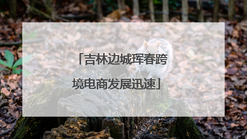 吉林边城珲春跨境电商发展迅速